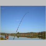 Tust 13.10.2008-26.JPG